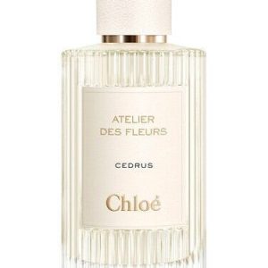 Chloe Atelier des Fleurs Cedrus